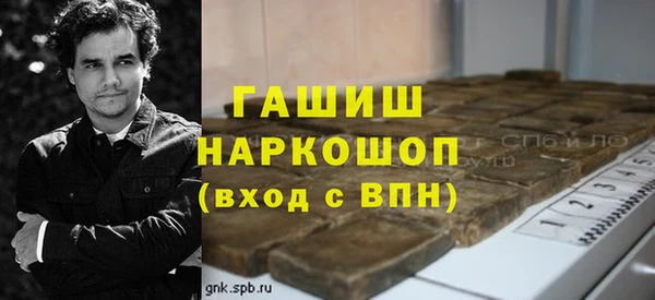 хмурый Алексин