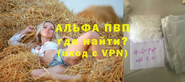 дживик Магас
