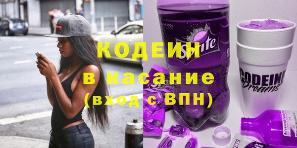 хмурый Алексин