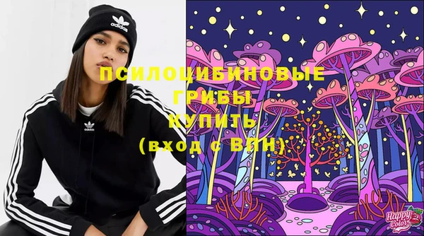 хмурый Алексин